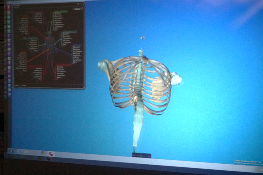 3D互動解剖教學設備