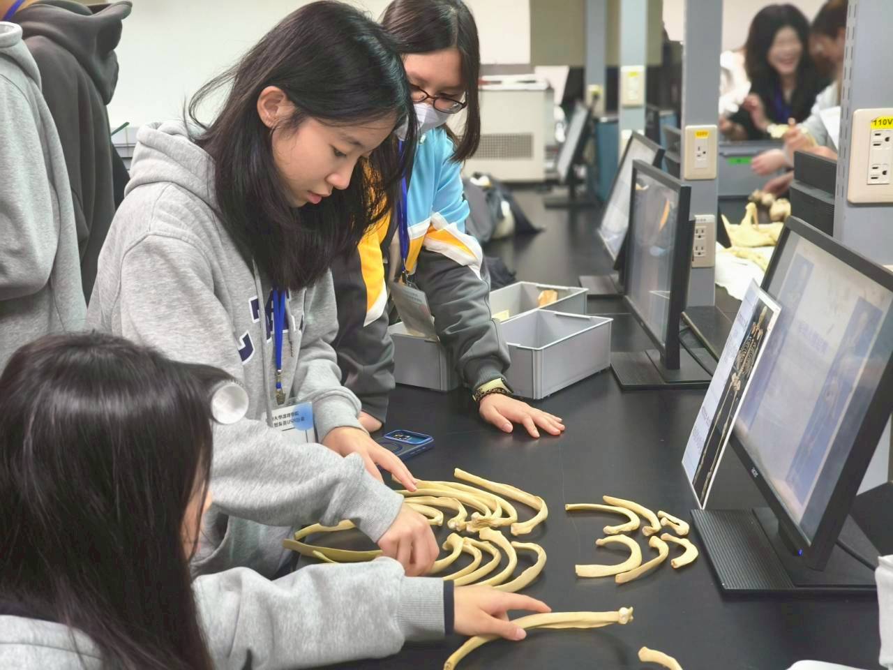 圖四、高中生參與人骨拼圖體驗，深度探索人體解構奧秘。